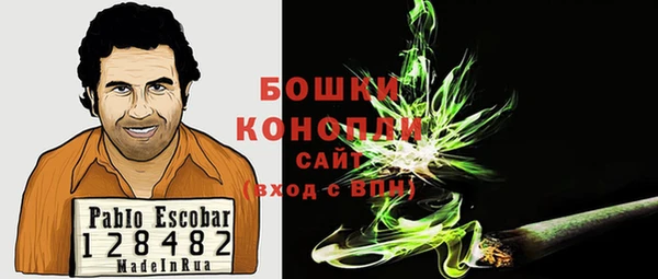 индика Верхний Тагил
