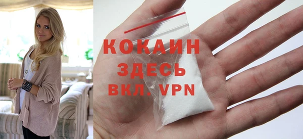 индика Верхний Тагил
