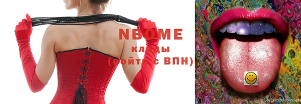индика Верхний Тагил