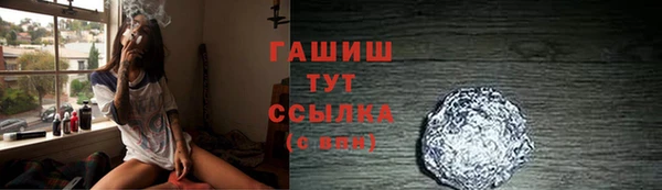 индика Верхний Тагил