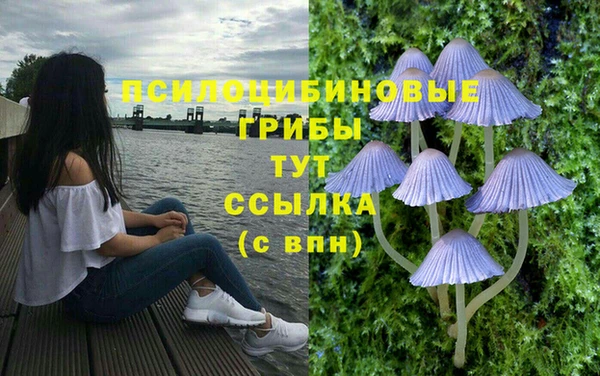 индика Верхний Тагил