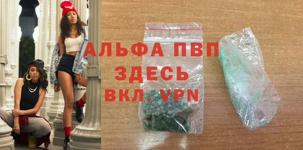 индика Верхний Тагил