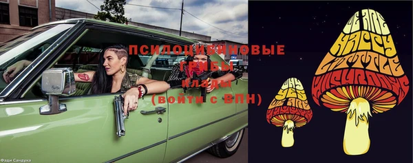 индика Верхний Тагил