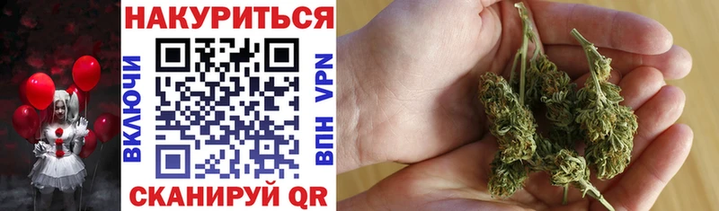 купить наркотики сайты  Калач  Канабис ГИДРОПОН 